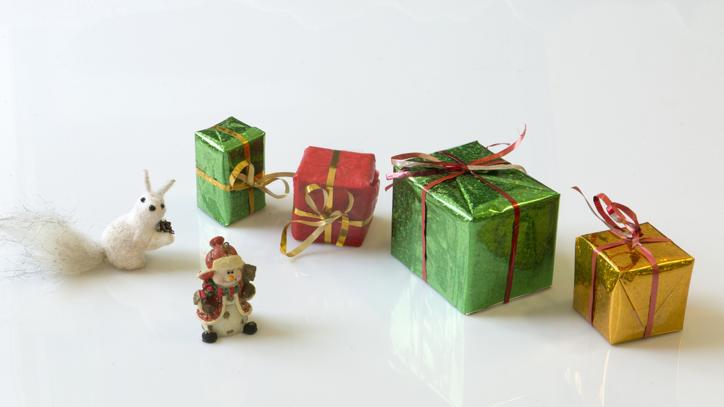    Nikolay Gyngazov/Globallookpress