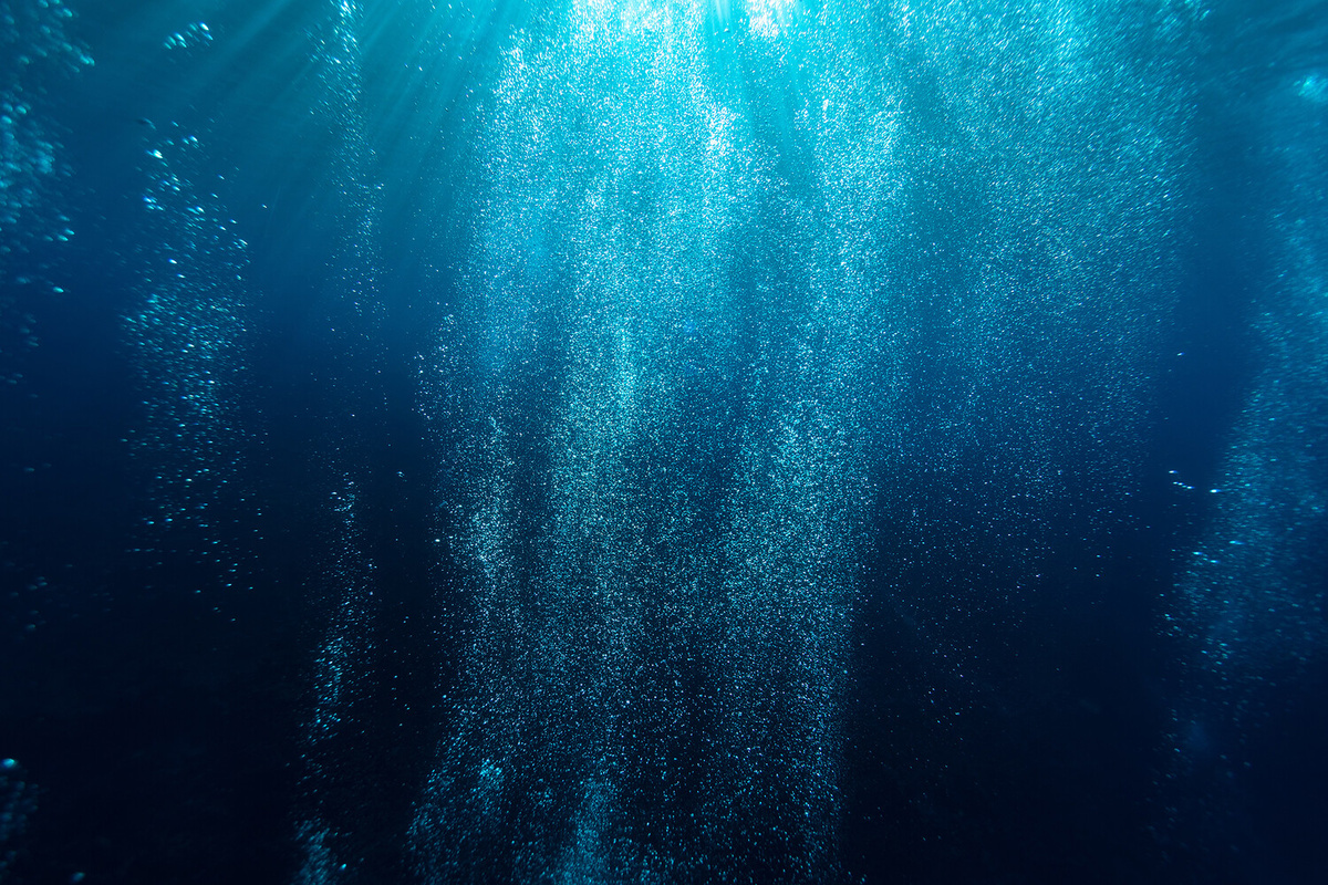    Фото: gazeta.ru Георгий