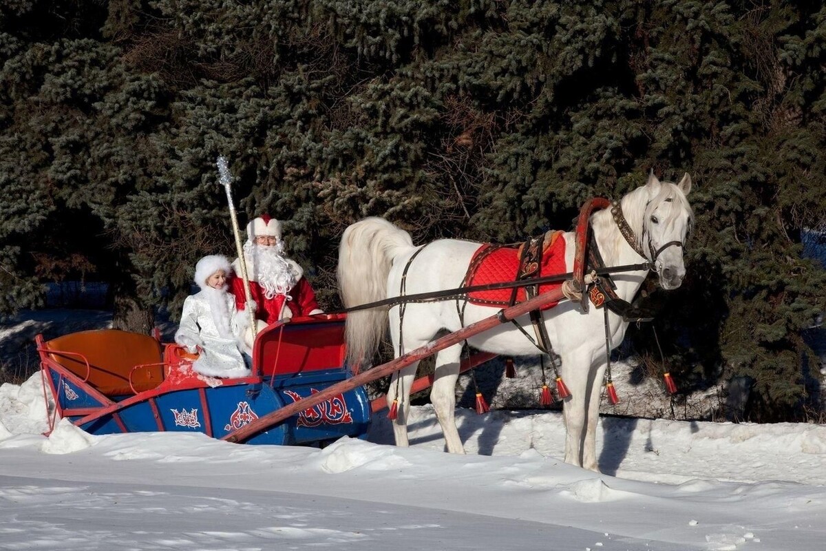 Источник https://cdn.culture.ru/images/6a88818e-c03d-523e-827b-77549548bbc7