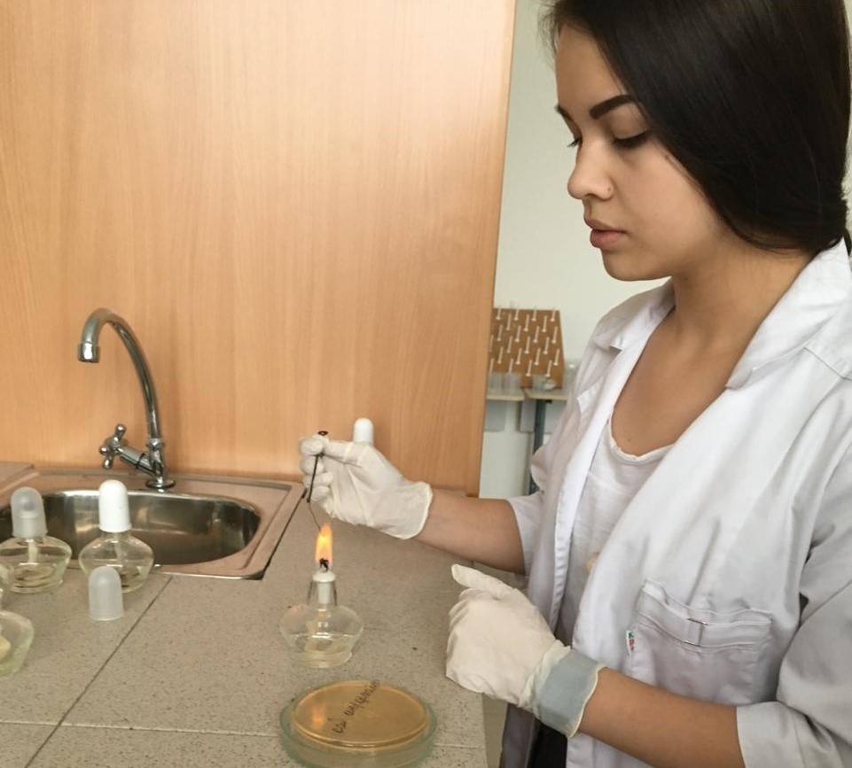    Подготовка проекта