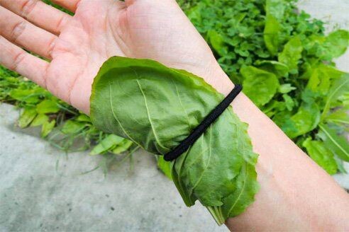 Бесплатно только вот так. Источник фото: Pinterest