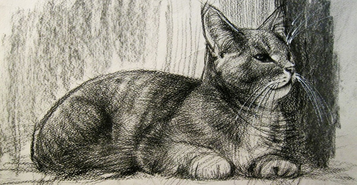 Кошка. Рисунок карандашом.