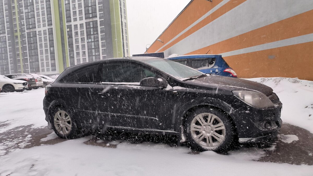    Фото: Maksim Konstantinov/globallookpress.com