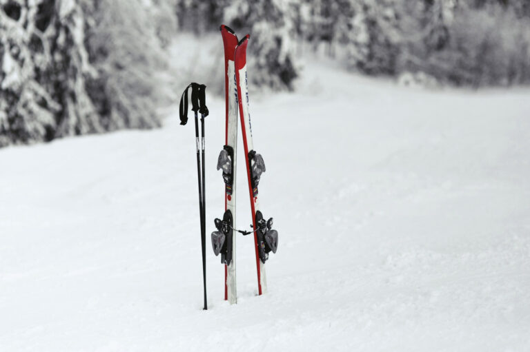    Фото: freepik.com/freepic.diller Ксения Зиннер