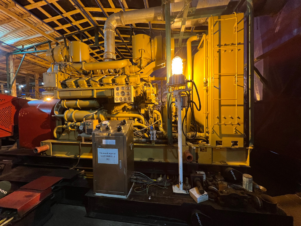 Двигатель Chidong G12V190pzl-3