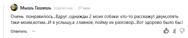 Скриншот комментария