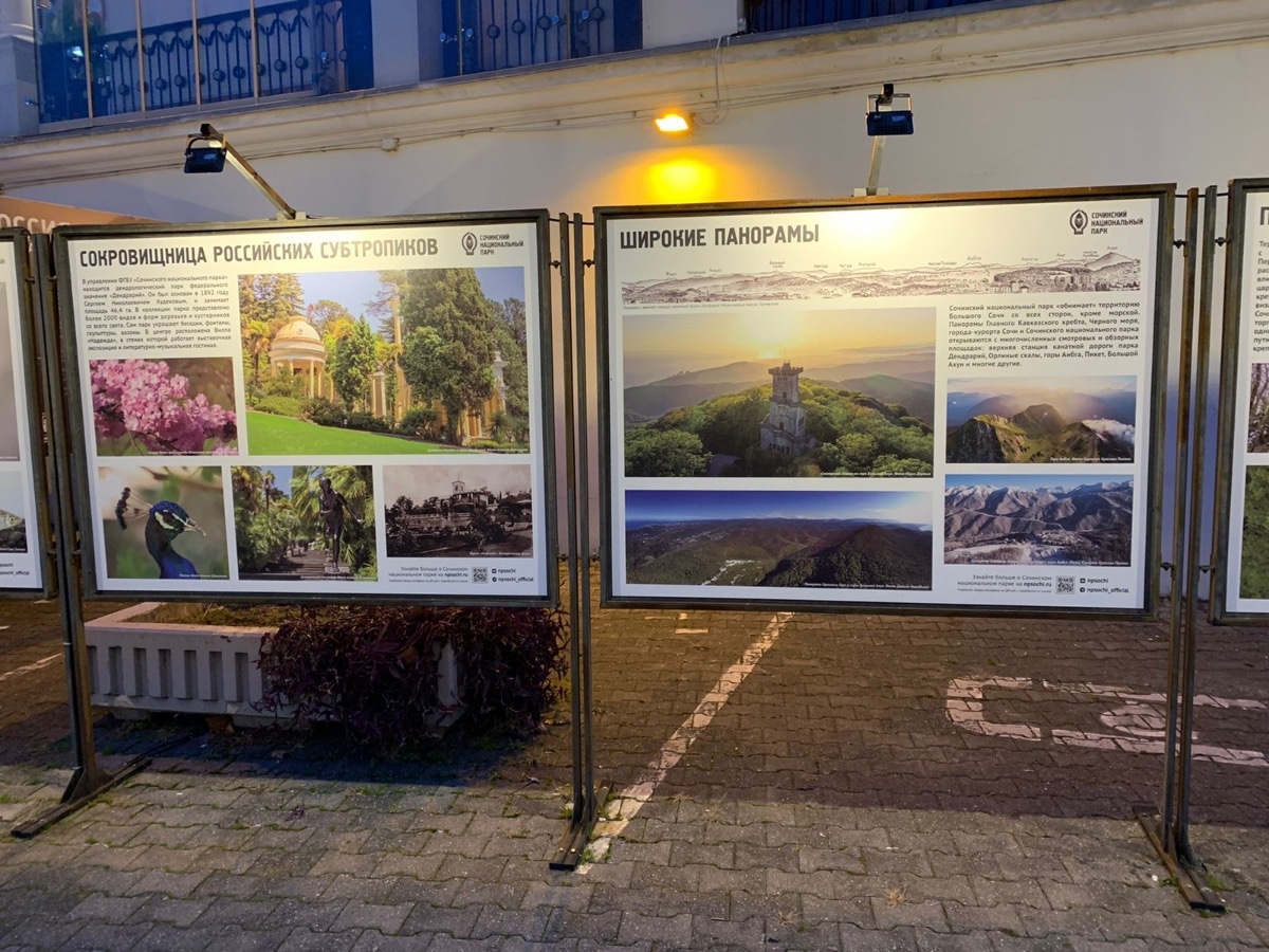    Фото: пресс-служба Сочинского нацпарка