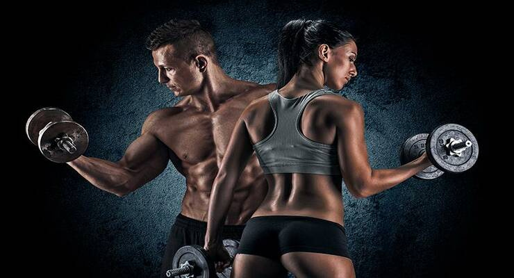 В мире бодибилдинга существует множество тренировочных программ, каждая из которых имеет свои особенности, преимущества и цели. От новичков до опытных атлетов, подходы могут сильно различаться в зависимости от того, что вы хотите достичь – будь то увеличение силы, массы или выносливости. В этой статье мы рассмотрим несколько популярных программ тренировок, которые помогут вам выбрать оптимальный вариант для ваших целей.