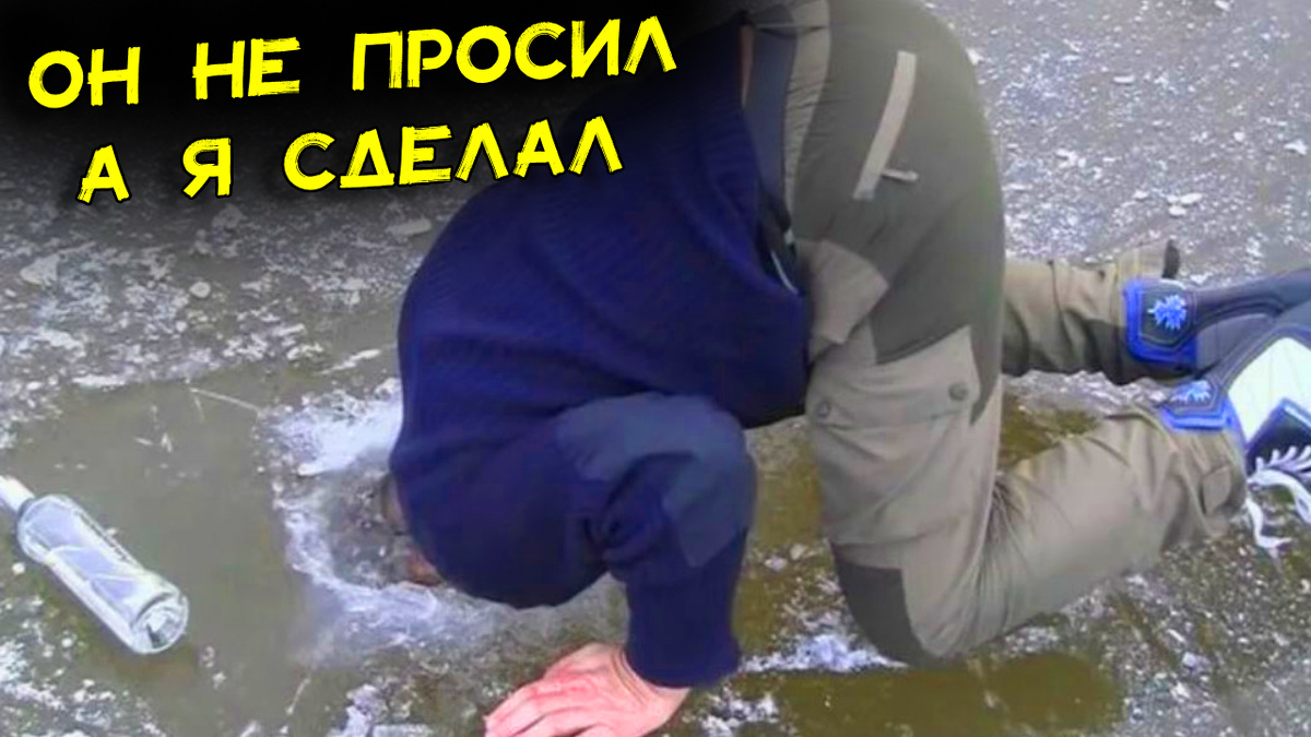 Яндекс картинки