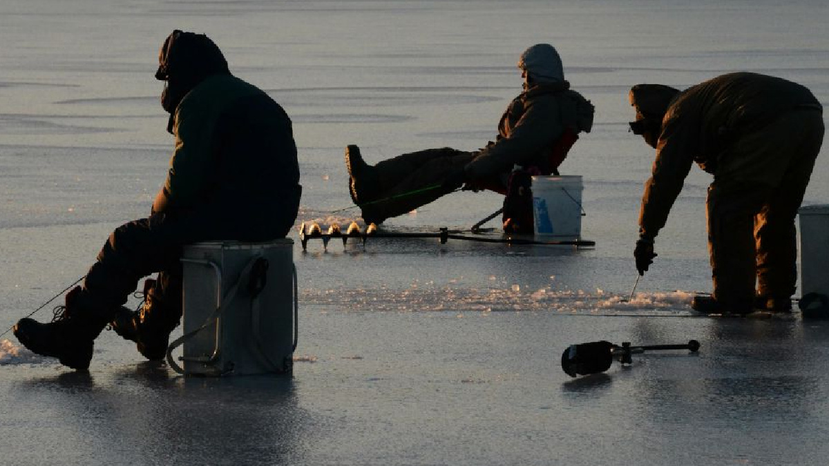 Яндекс картинки