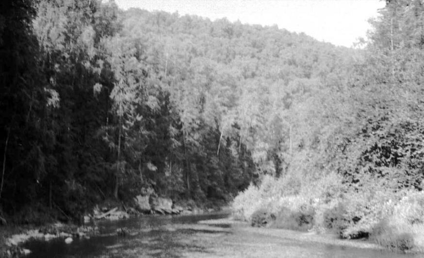 1977 июль, река Койва.