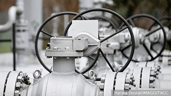     Фото: Harald Dostal/IMAGO/ТАСС   
 Текст: Валерия Городецкая