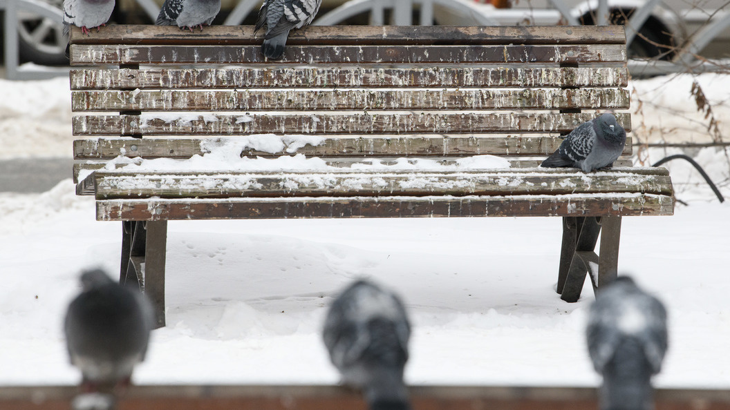    Фото: Ilya Moskovets/URA.RU/Globallookpress