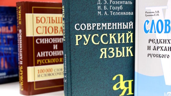    Госдума в приоритетном порядке рассмотрит законопроект о защите русского языка Алина Городниченко