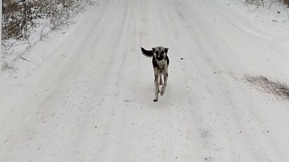 Да остановись ты!