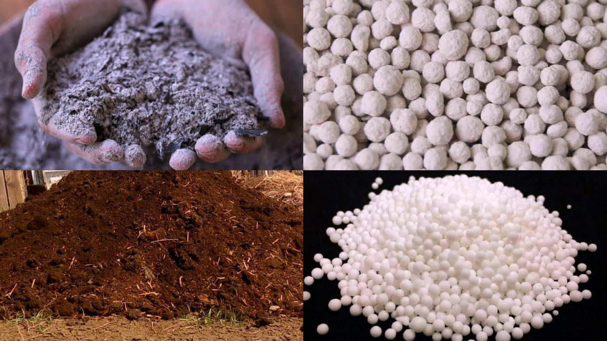 Смесь, которая творит чудеса