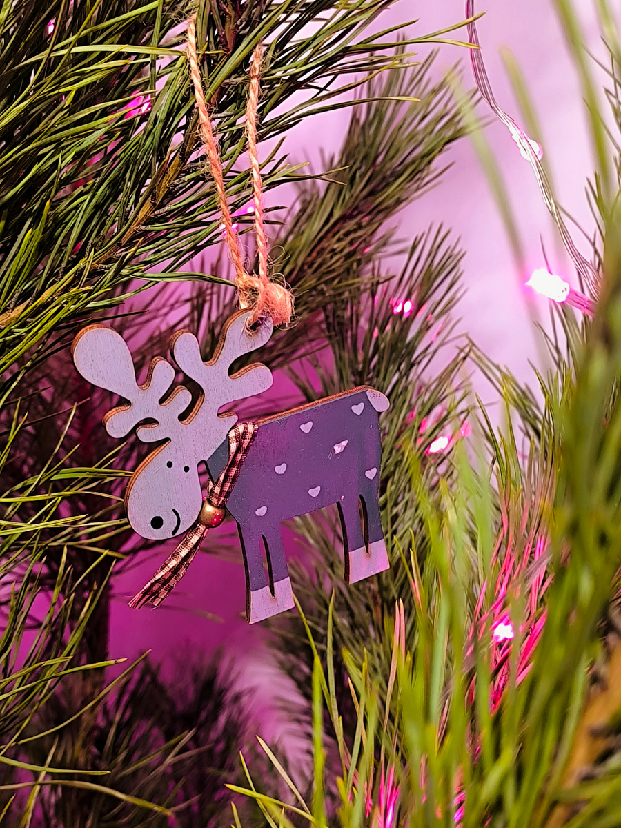 Здесь и далее фото автора канала. 