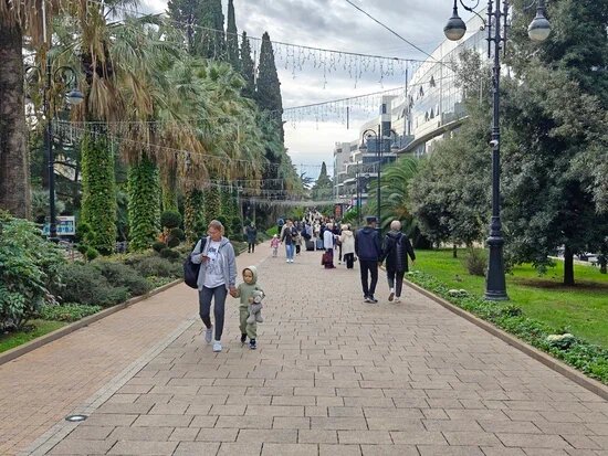    Фото: Юрий Серебренников/BFM Кубань