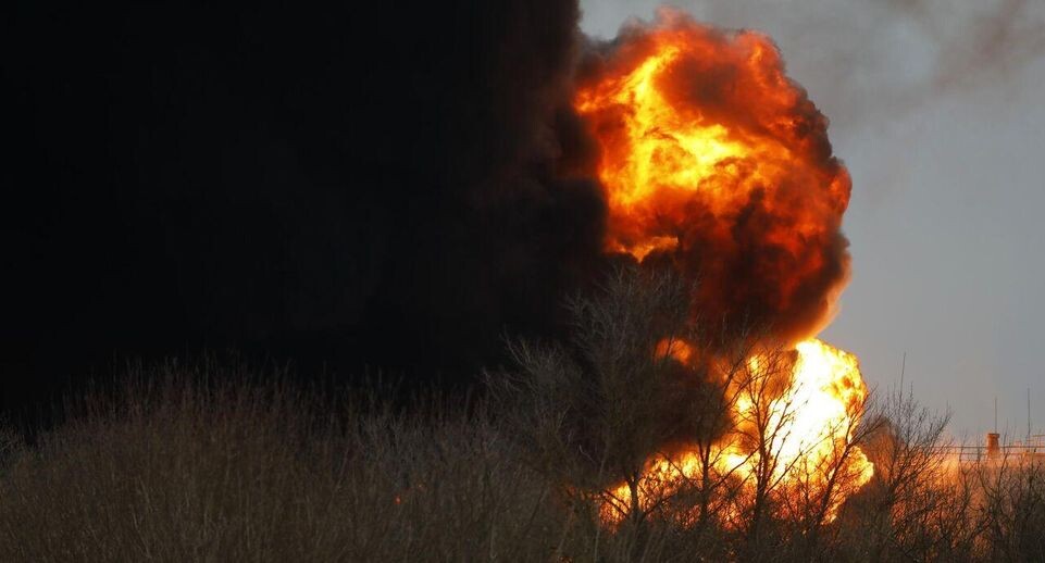    РИА «Новости»