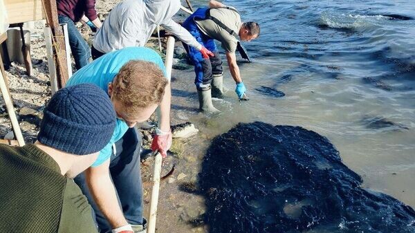    © Официальный канал главы администрации города Керчи Олега Каторгина