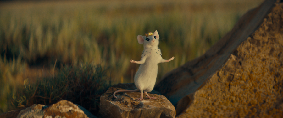 Королева полевых мышей Рамина 