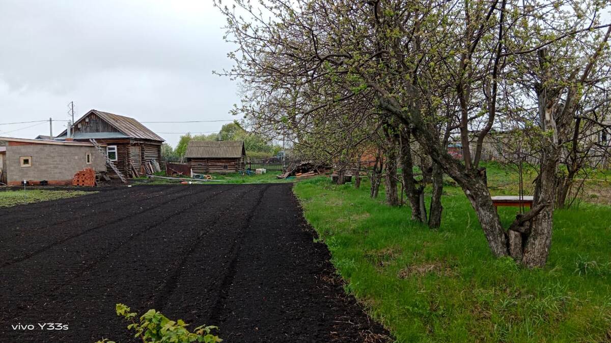 Мой любимый сад и огород.