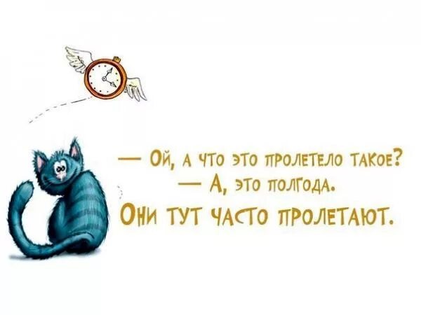 Фото взято из открытых источников (Яндекс Картинки).