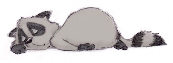 Фото взято из открытых источников (Яндекс Картинки).