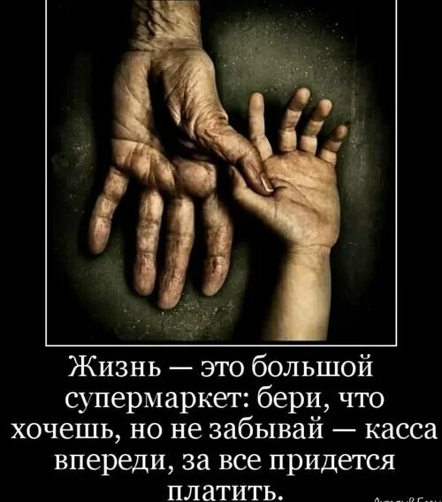 Изображение взято из открытых источников