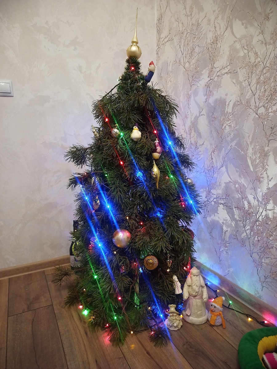 Ни одно дерево от моих рук не пострадало. Все ветки собраны в лесу после сильного ветра.