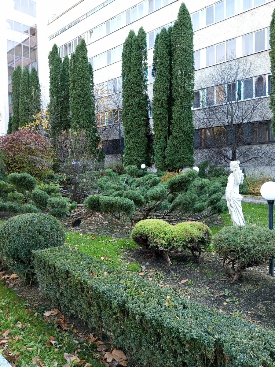 Санаторий "Дубовая роща". Фото: Яндекс карты. Автор: Ирина Волик