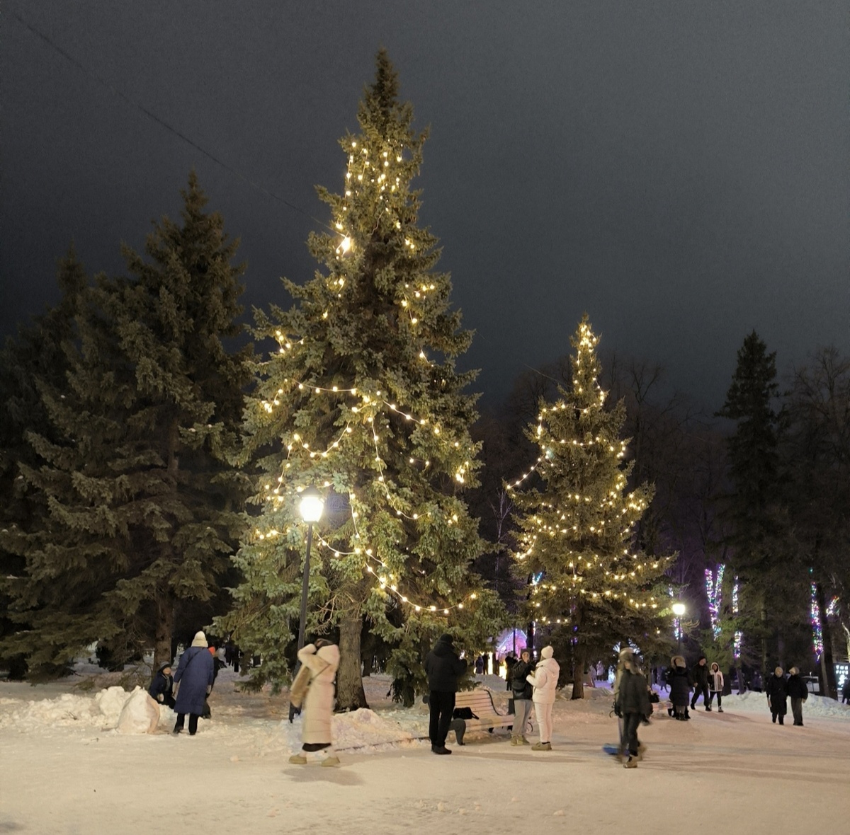 Всё фотографии в статье авторские