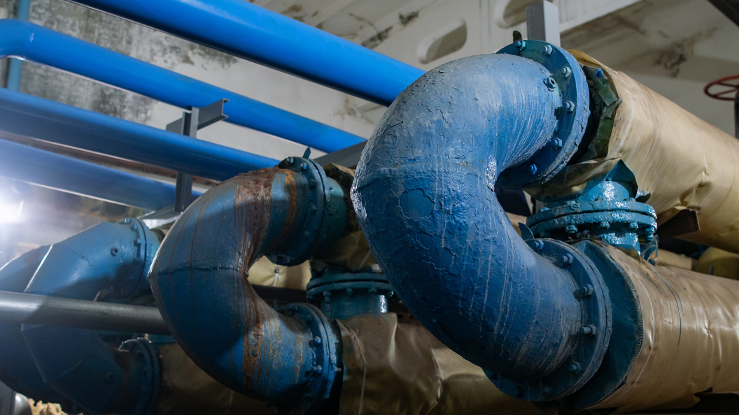    Фото: Oleg Spiridonov/Business Online/Globallookpress