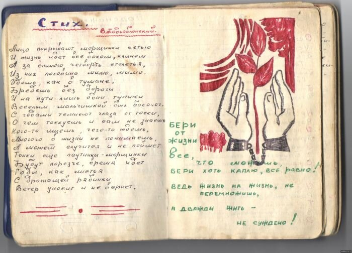 яндекс картинки