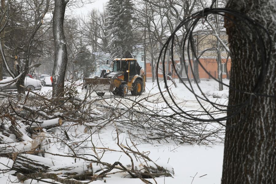     / Источник: © Дмитрий Ахмадуллин/ТАСС