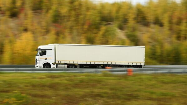    © Sputnik / Максим Богодвид