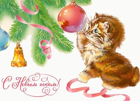 Яндекс картинки 