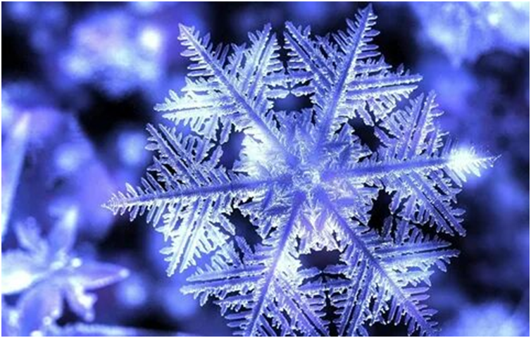 Фото из открытого источника Интернета