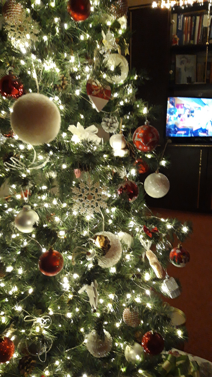 Фотография автора 