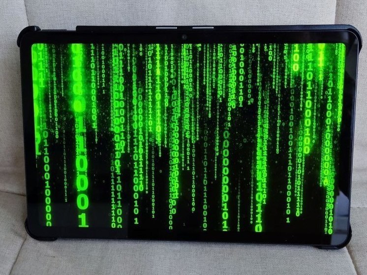     Если пароль уже введен, то надо его поменять и проверить банковские счета. Фото: «МК в Великом Новгороде»