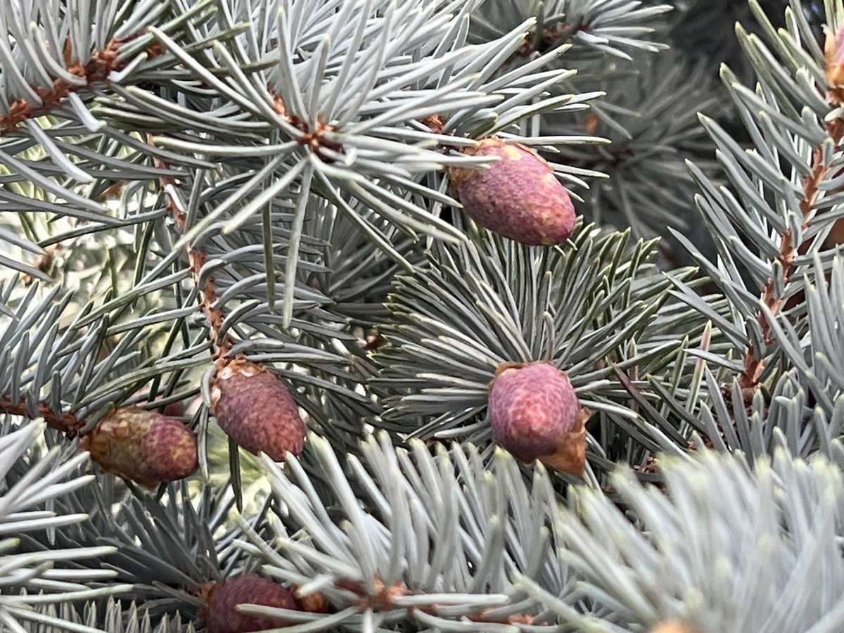 Фото из личного архива