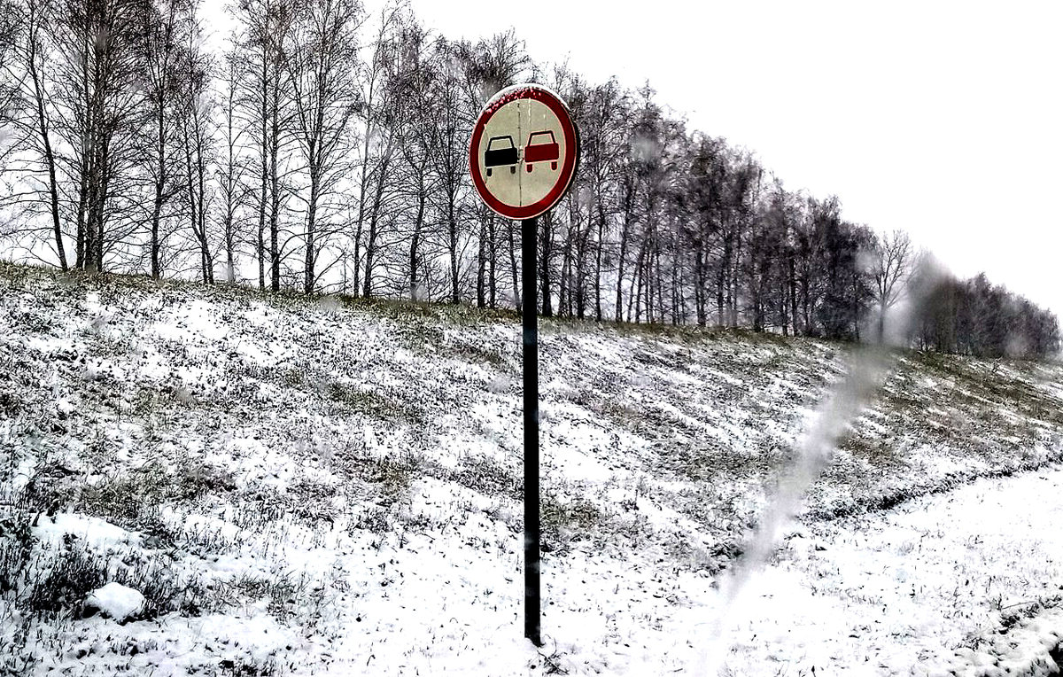 Изображение взято из открытых источников.