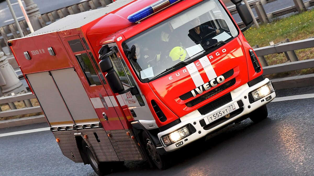    Фото: Vladimir Baranov/globallookpress.com