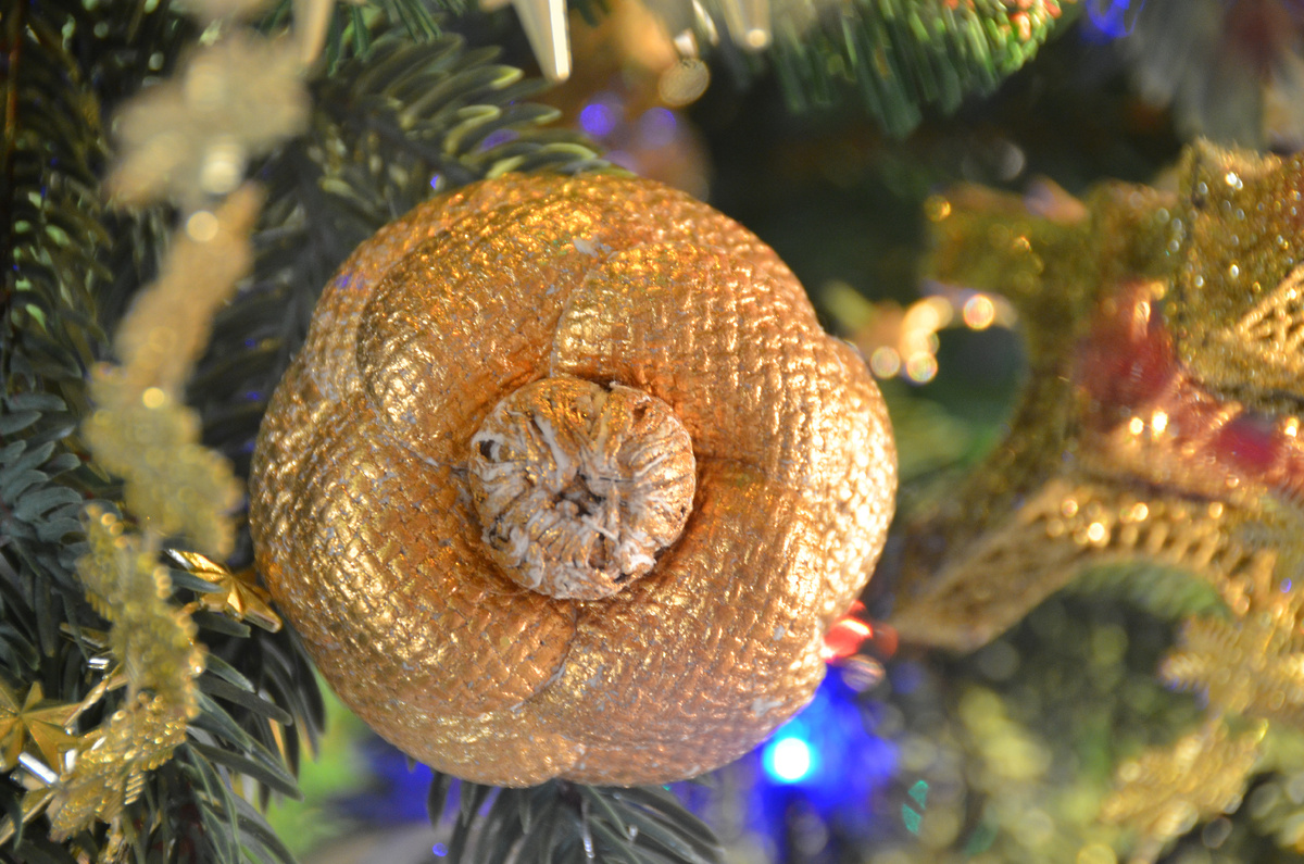 Золотая Камелия