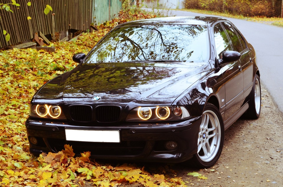 Фото взято из открытых источников