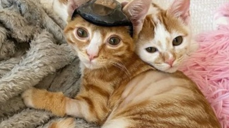 Вдвоем теплее!