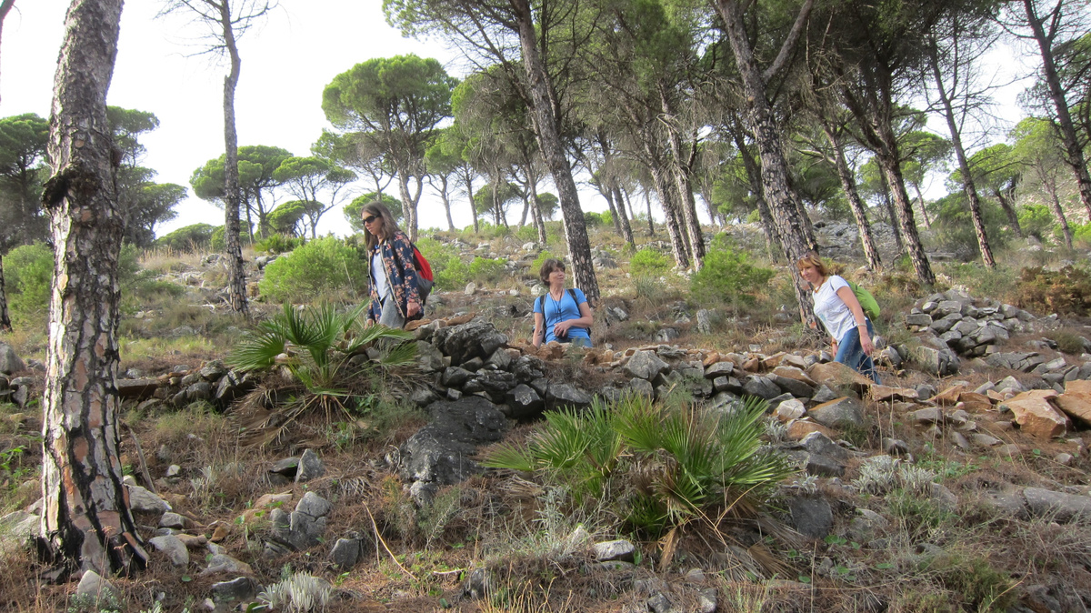 По горной тропе