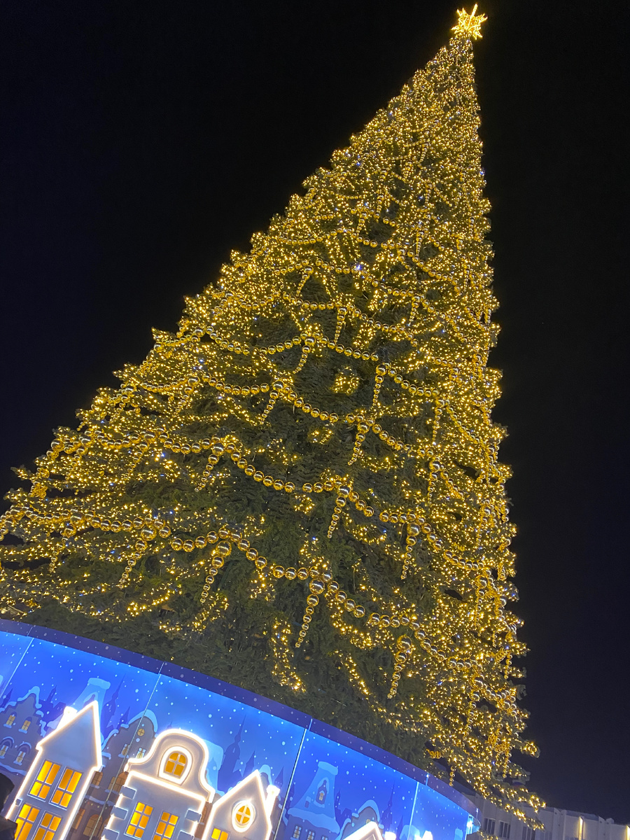Фото автора. 02/01/2025