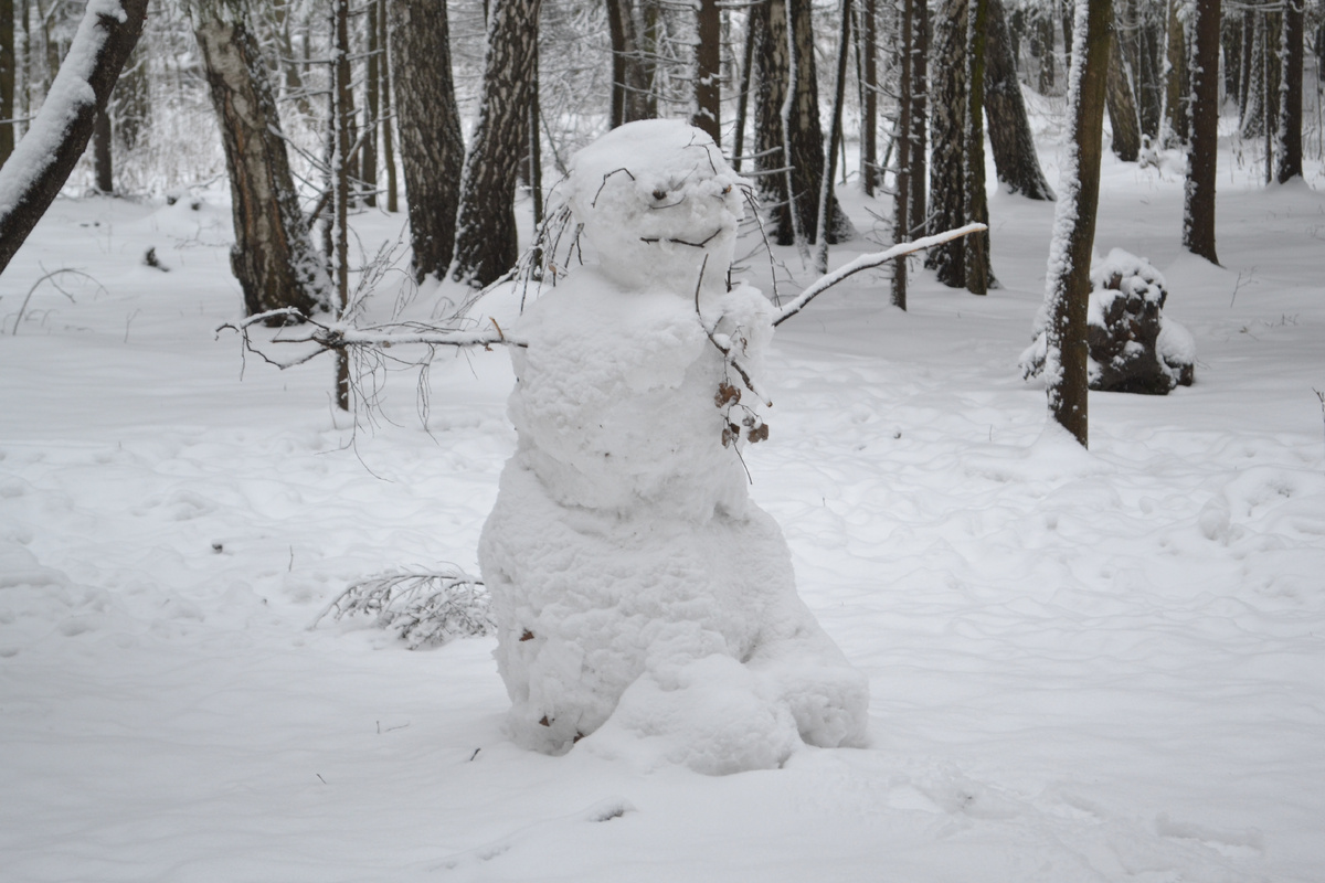 Снеговик, похожий на лешего)