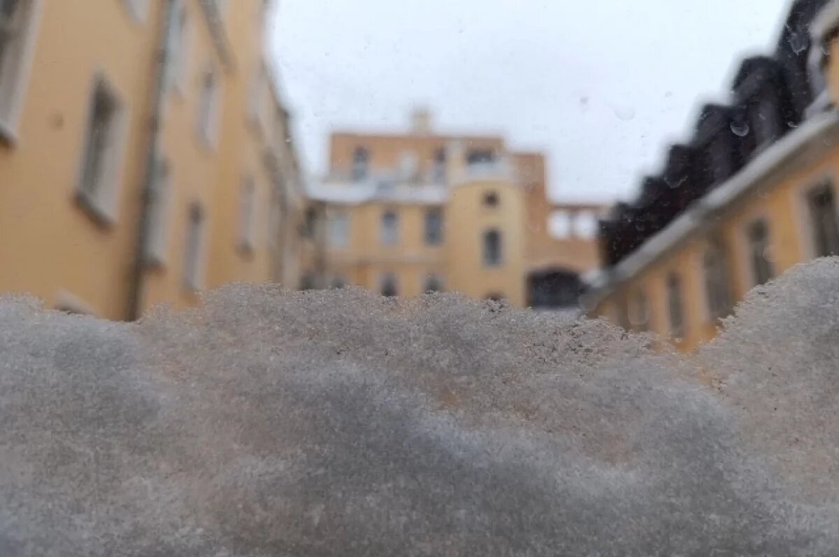    Тело задушившей младенца женщины нашли под окнами в Петербурге